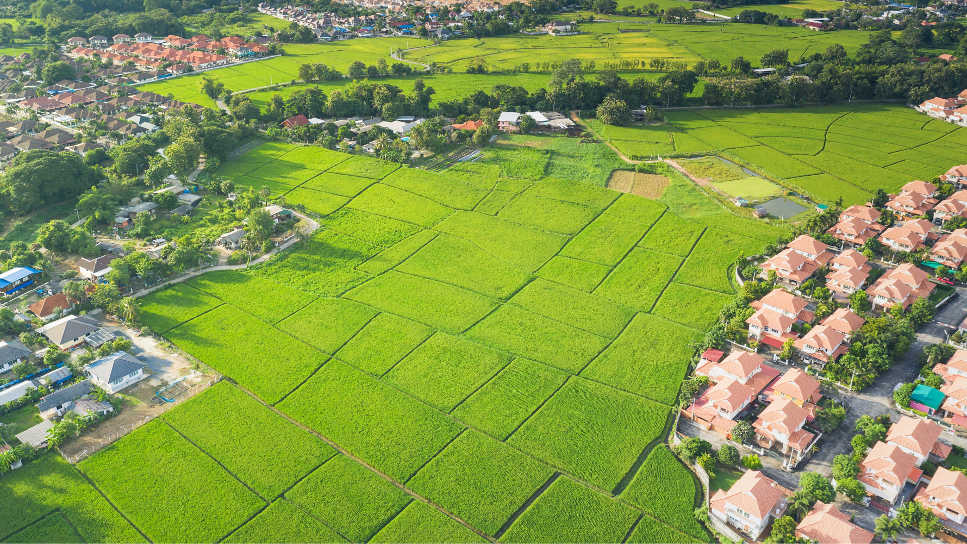 Loteamento de terras: de área rural para área urbana